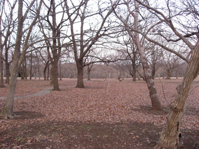 e0140491_11525897.jpg