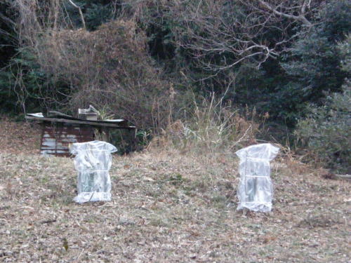 e0017396_22155831.jpg