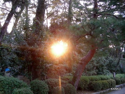 c0145299_0355059.jpg