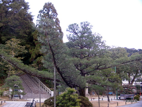 c0145299_0532961.jpg