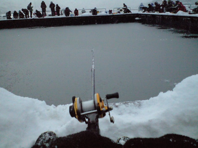 a0121502_20344382.jpg