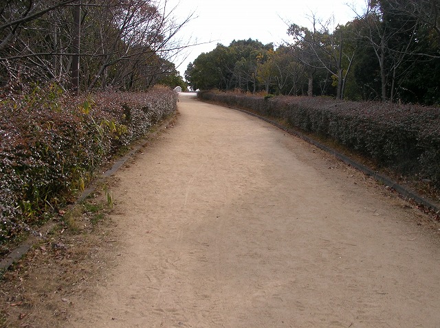 e0183004_18185824.jpg