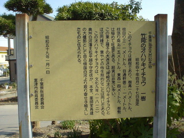 a0116205_10564590.jpg