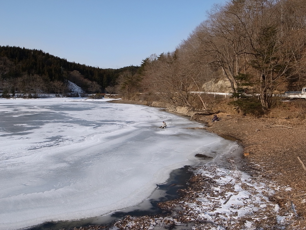 b0050305_371560.jpg