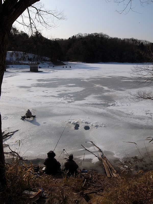 b0050305_38556.jpg