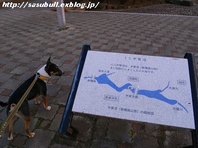 e0145805_2365432.jpg