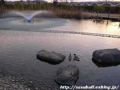 e0145805_2371849.jpg