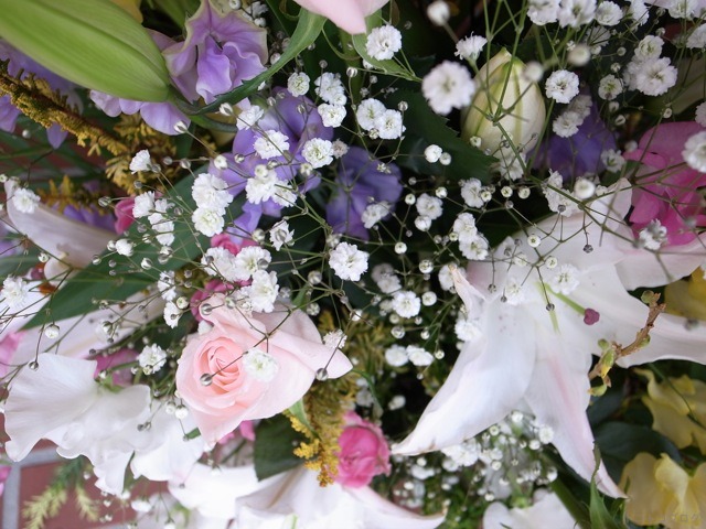 c0202706_7543526.jpg