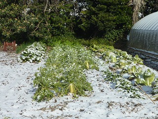 c0092408_11151735.jpg