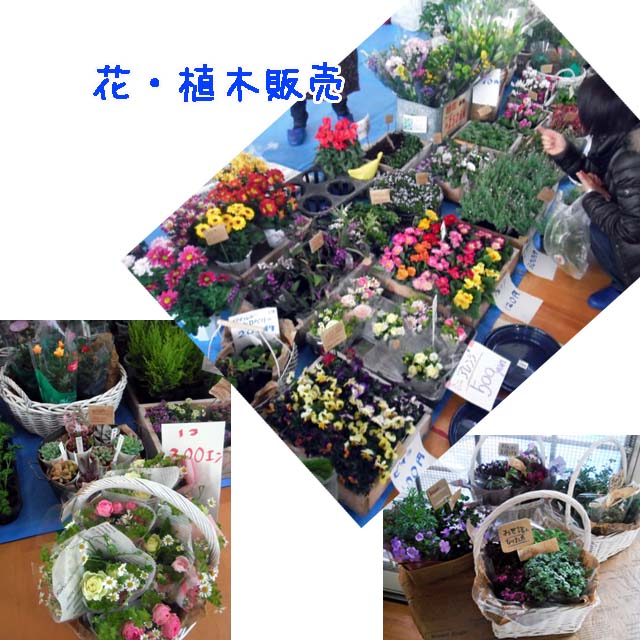 e0177509_20142279.jpg