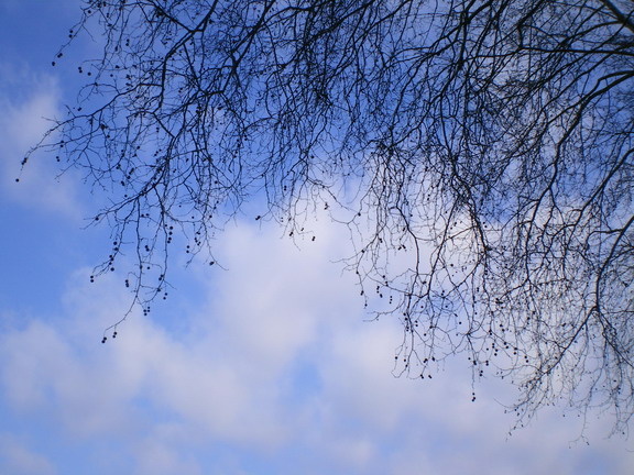c0124619_5344711.jpg
