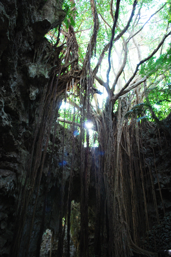 e0123920_2354091.jpg