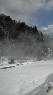 c0169024_1618034.jpg