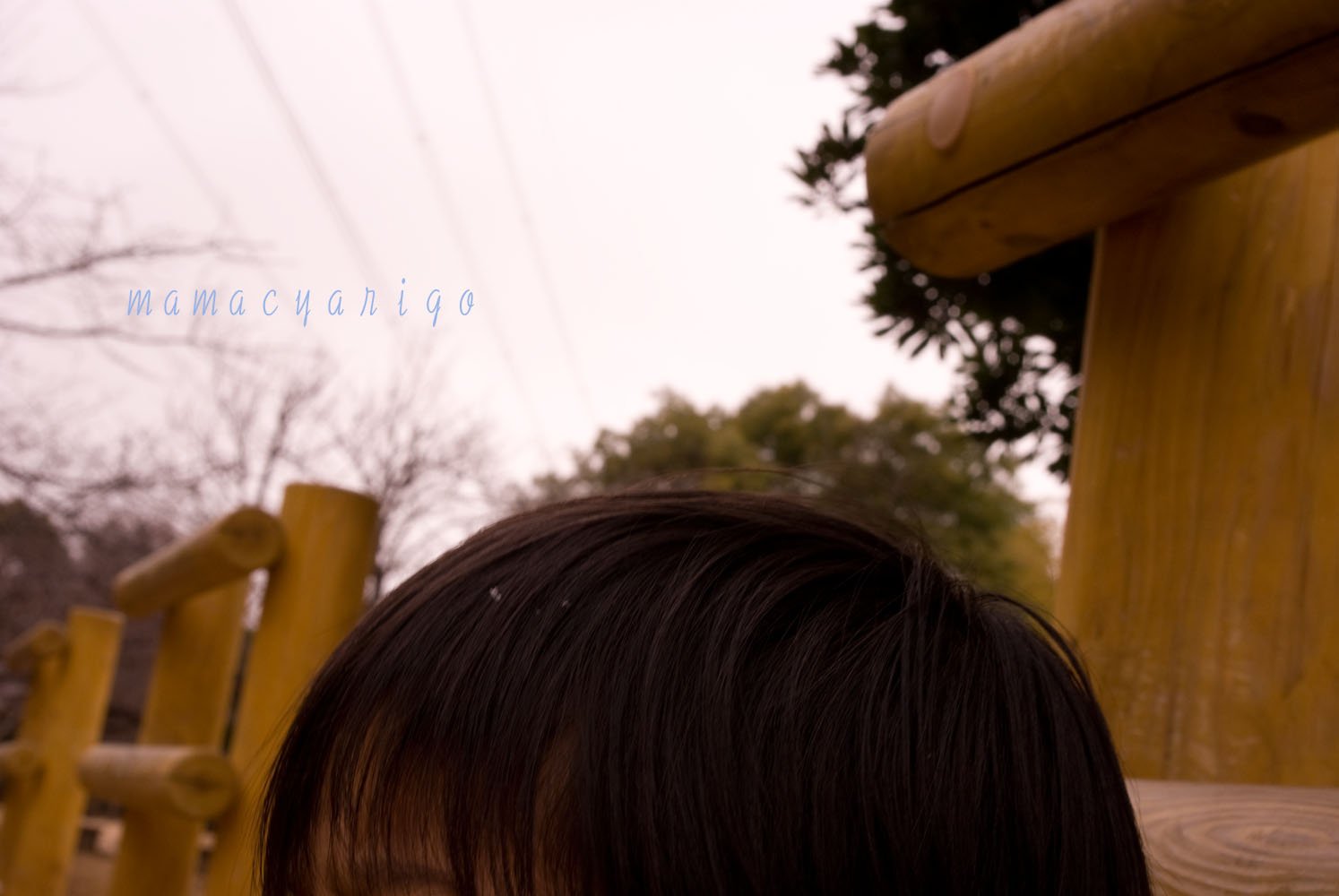 d0158925_20161680.jpg