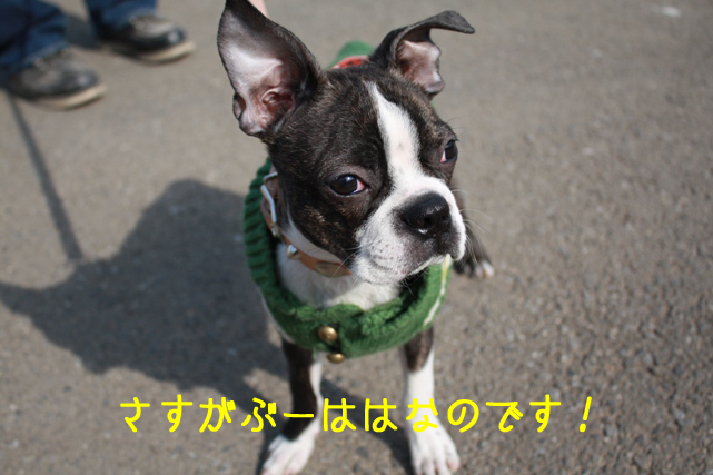 a0190132_19117100.jpg