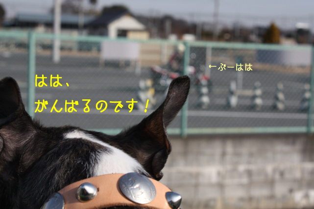 a0190132_1992475.jpg