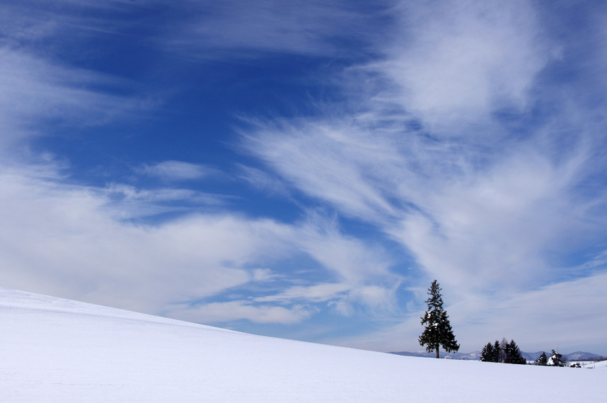 f0152939_1826719.jpg