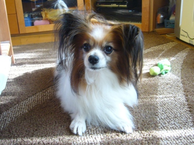 e0100046_1713561.jpg