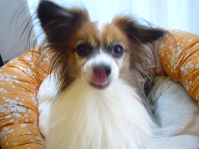e0100046_17161111.jpg