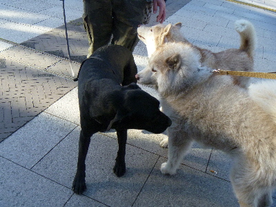 e0121548_20103823.jpg