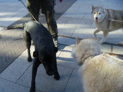e0121548_20123850.jpg