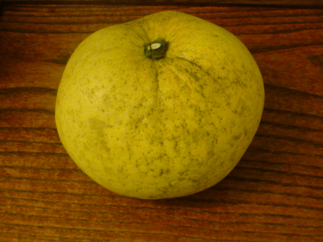 b0156050_0314733.jpg