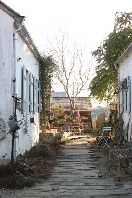 e0028650_2254046.jpg