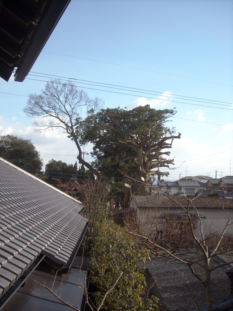 d0137658_1555175.jpg