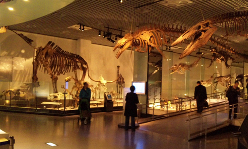d0147862_234586.jpg