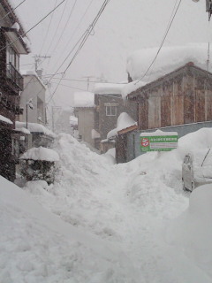 c0085380_1632683.jpg