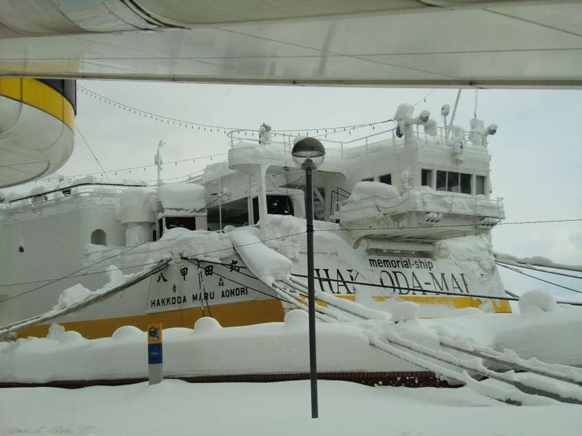 e0027681_053521.jpg