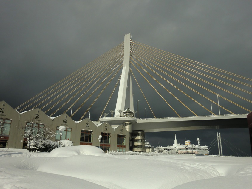 e0027681_0554356.jpg