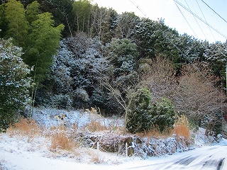 b0142190_0285420.jpg