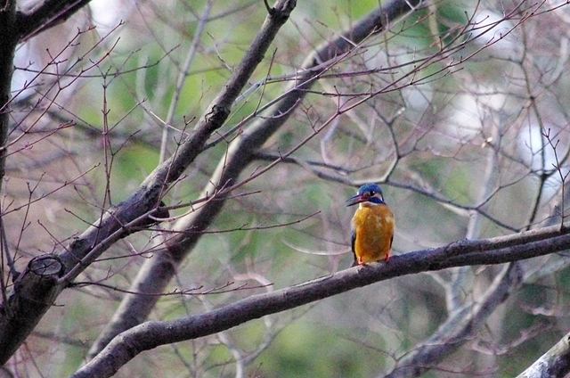 c0125596_22134752.jpg