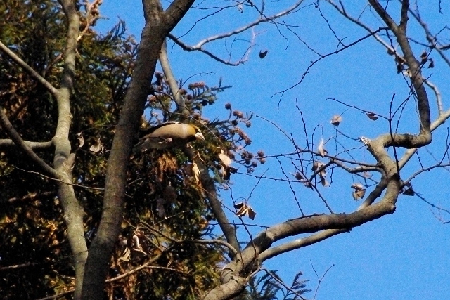 c0125596_22203464.jpg