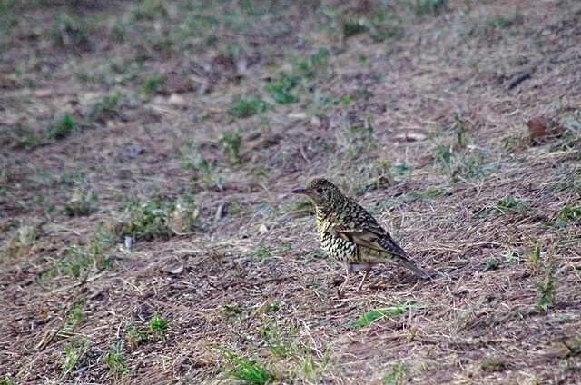 c0125596_22205281.jpg