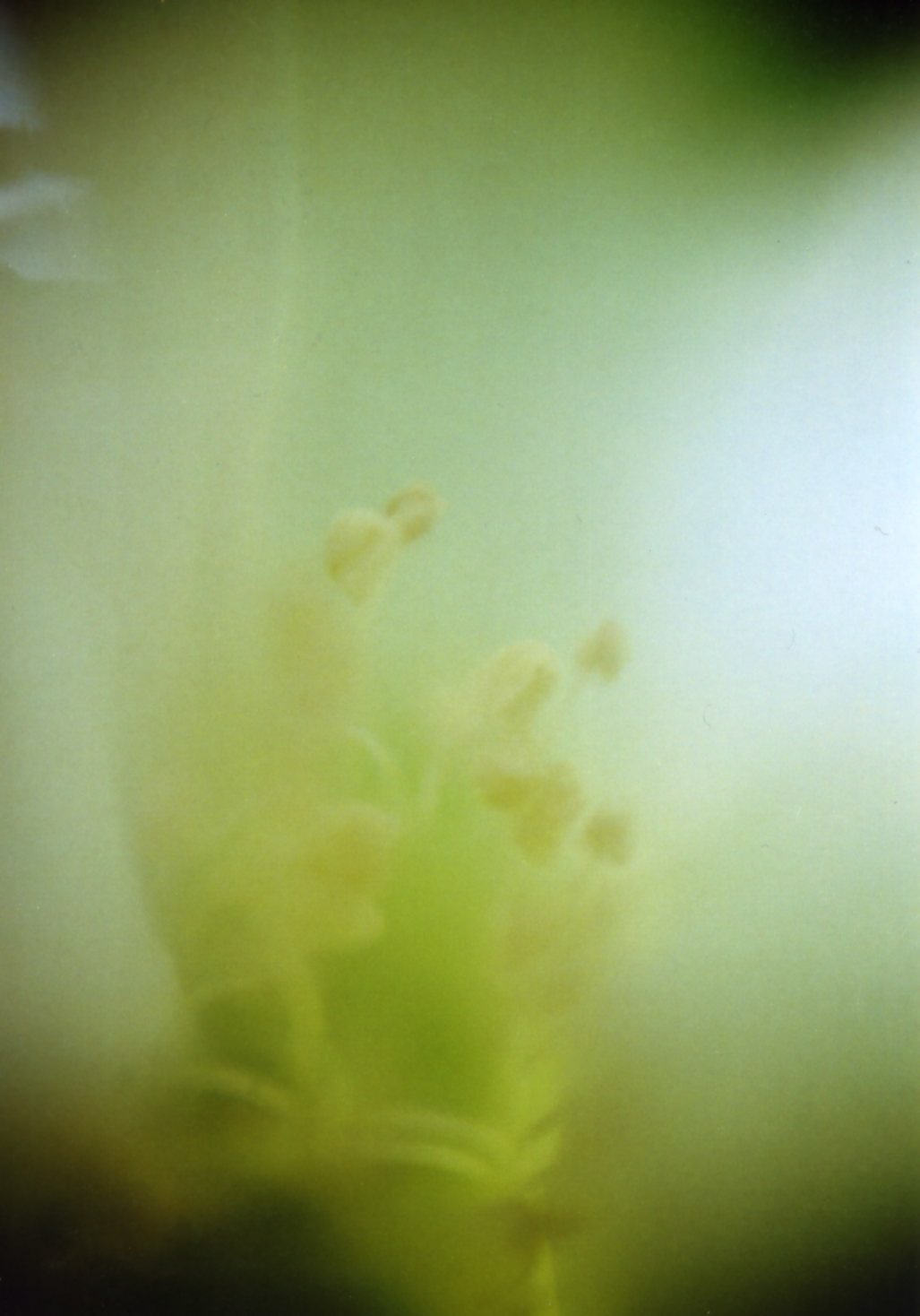 a0199297_23572440.jpg