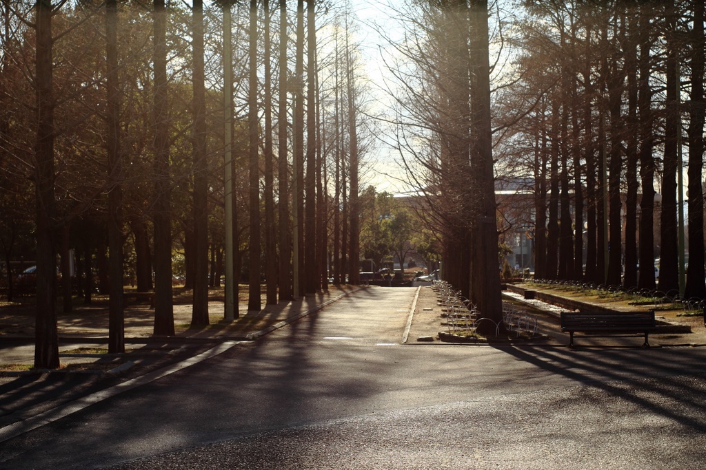 b0138101_20232255.jpg