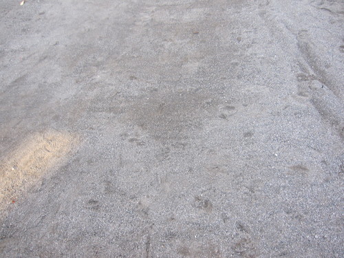 b0194405_18444476.jpg