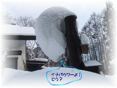 f0161708_2240834.jpg