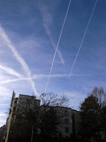 d0171809_1521847.jpg