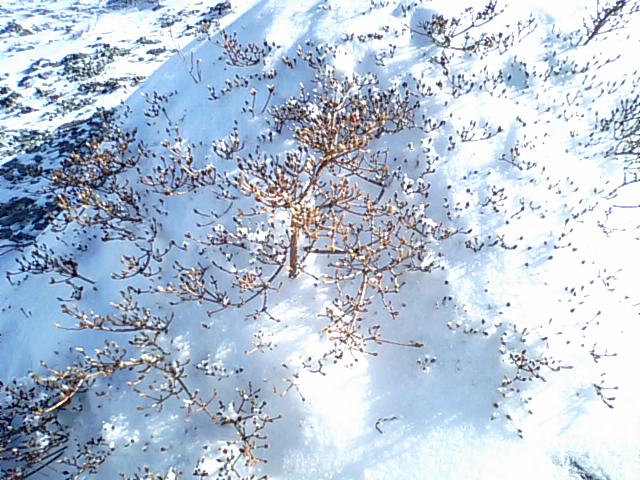 f0231709_22155492.jpg