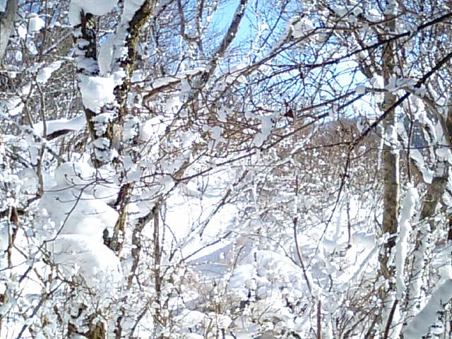 f0231709_22164780.jpg