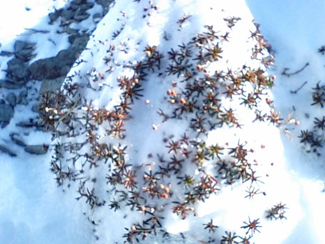 f0231709_22182087.jpg