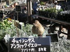 c0190010_2065861.jpg