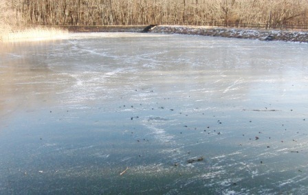 e0078510_165263.jpg