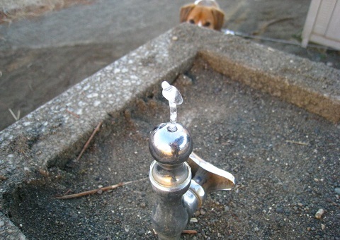 c0084117_188545.jpg