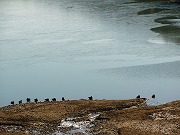 f0191517_10234435.jpg