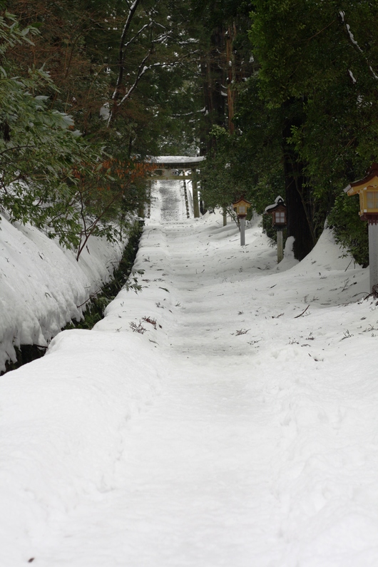 e0123322_21382012.jpg