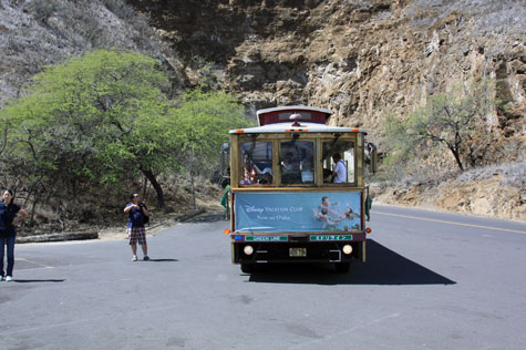 f0137324_20101425.jpg